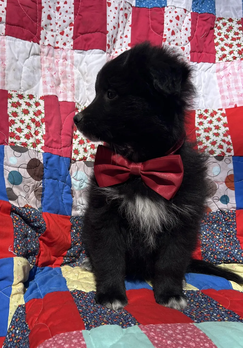 Waffles thumbnail 2