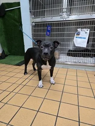 Danielle thumbnail 2