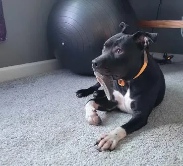 Danielle thumbnail 3