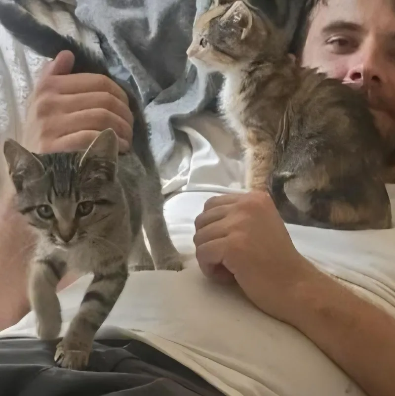 Dilly & Dally thumbnail 3