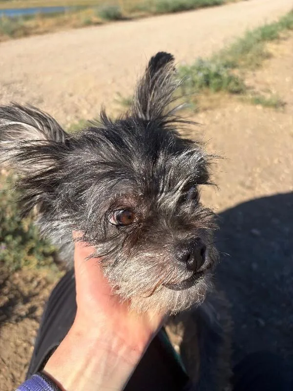 Brenda thumbnail 2