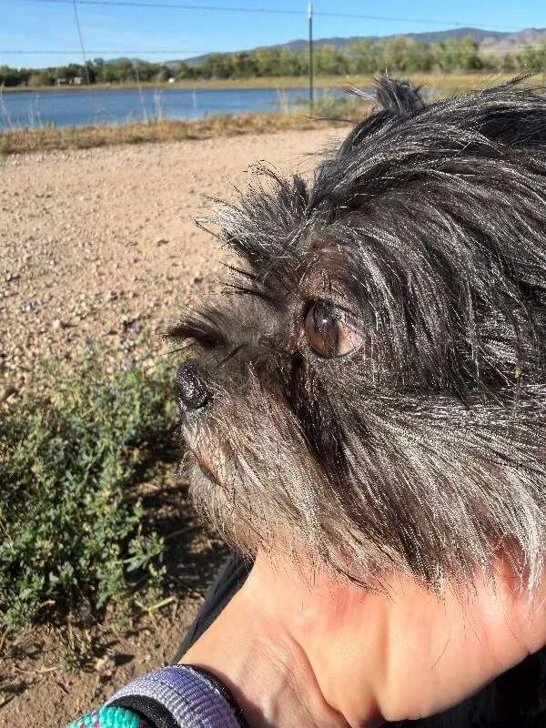 Brenda thumbnail 5