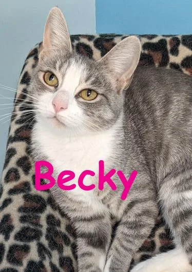 Becky thumbnail 2