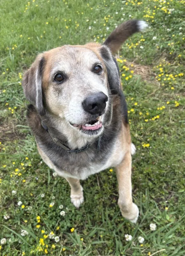 Chance Aka Saturn