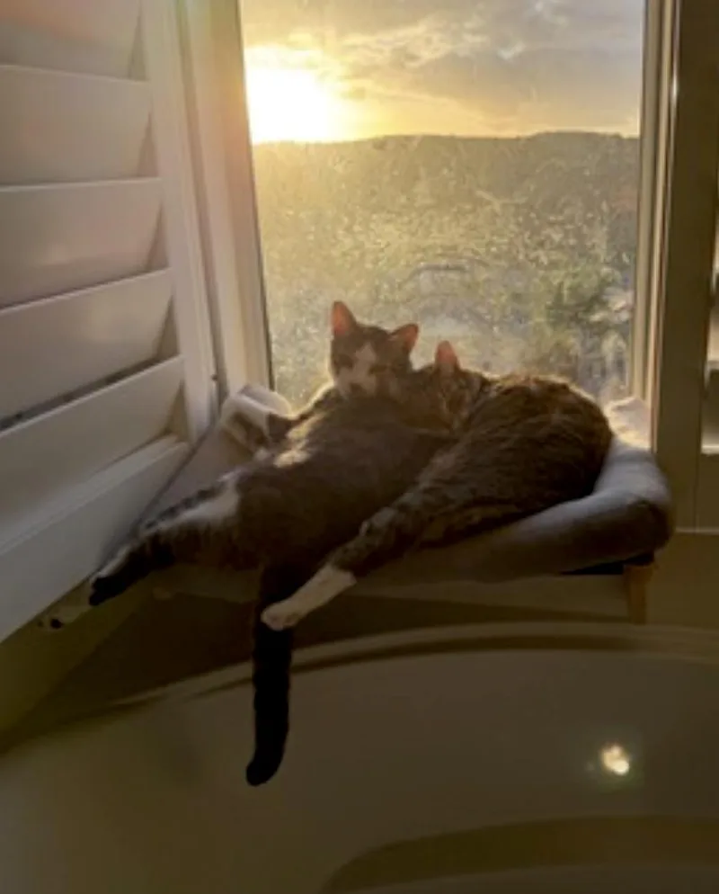 Daisy And Duke