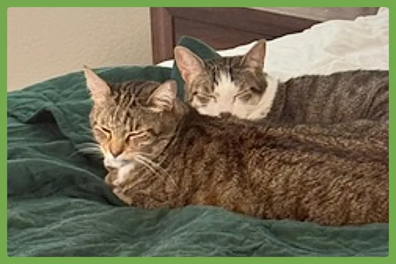 Daisy And Duke thumbnail 2