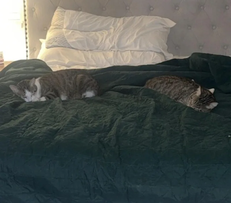 Daisy And Duke thumbnail 5