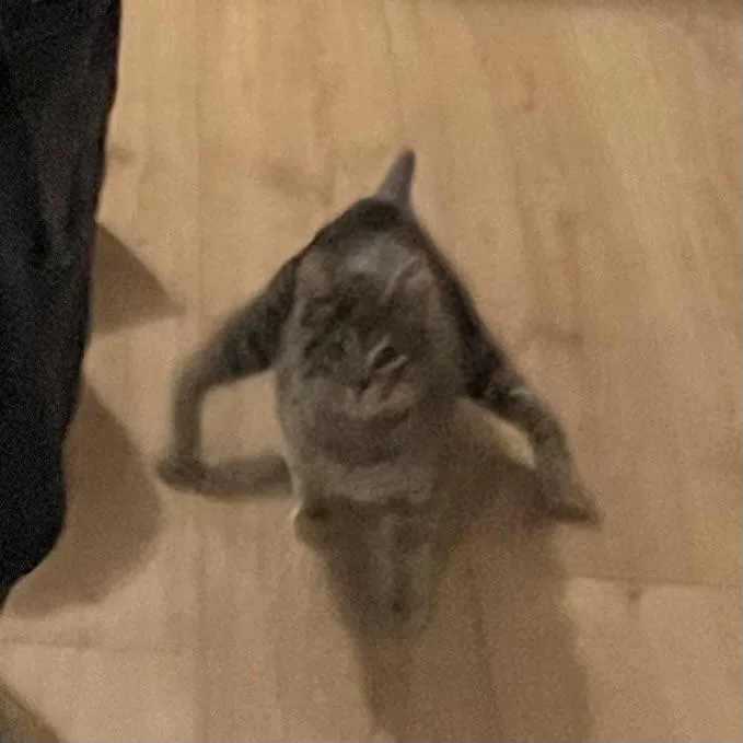 Twinkle Twinkle thumbnail 4