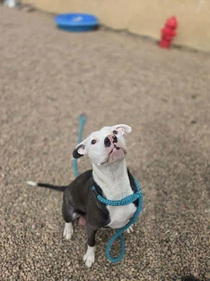 Luna