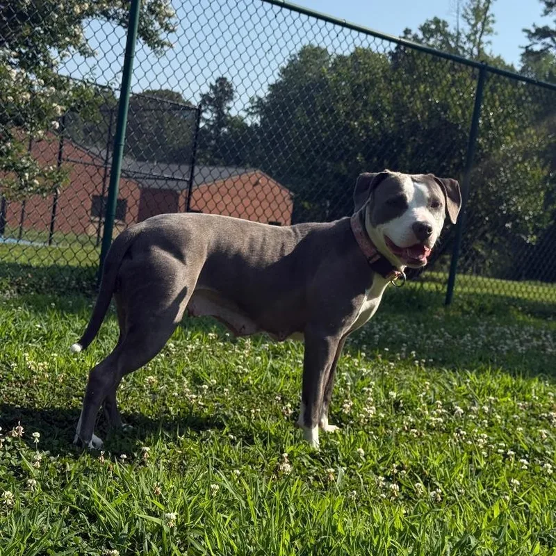 Star thumbnail 2
