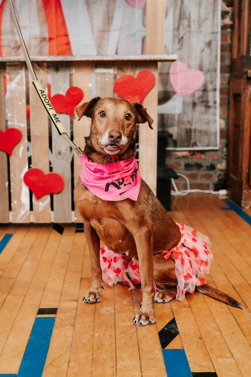 Reba  Ready To thumbnail 3