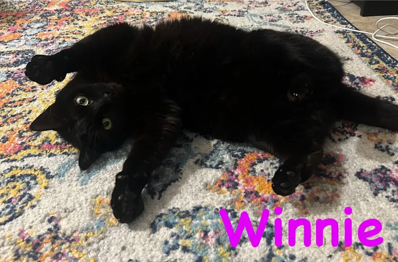 Winnie  Willow Grove