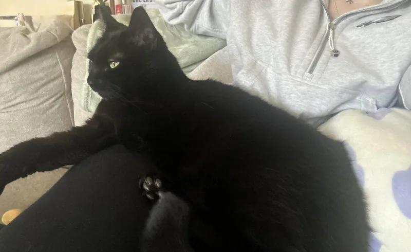 Winnie  Willow Grove thumbnail 2