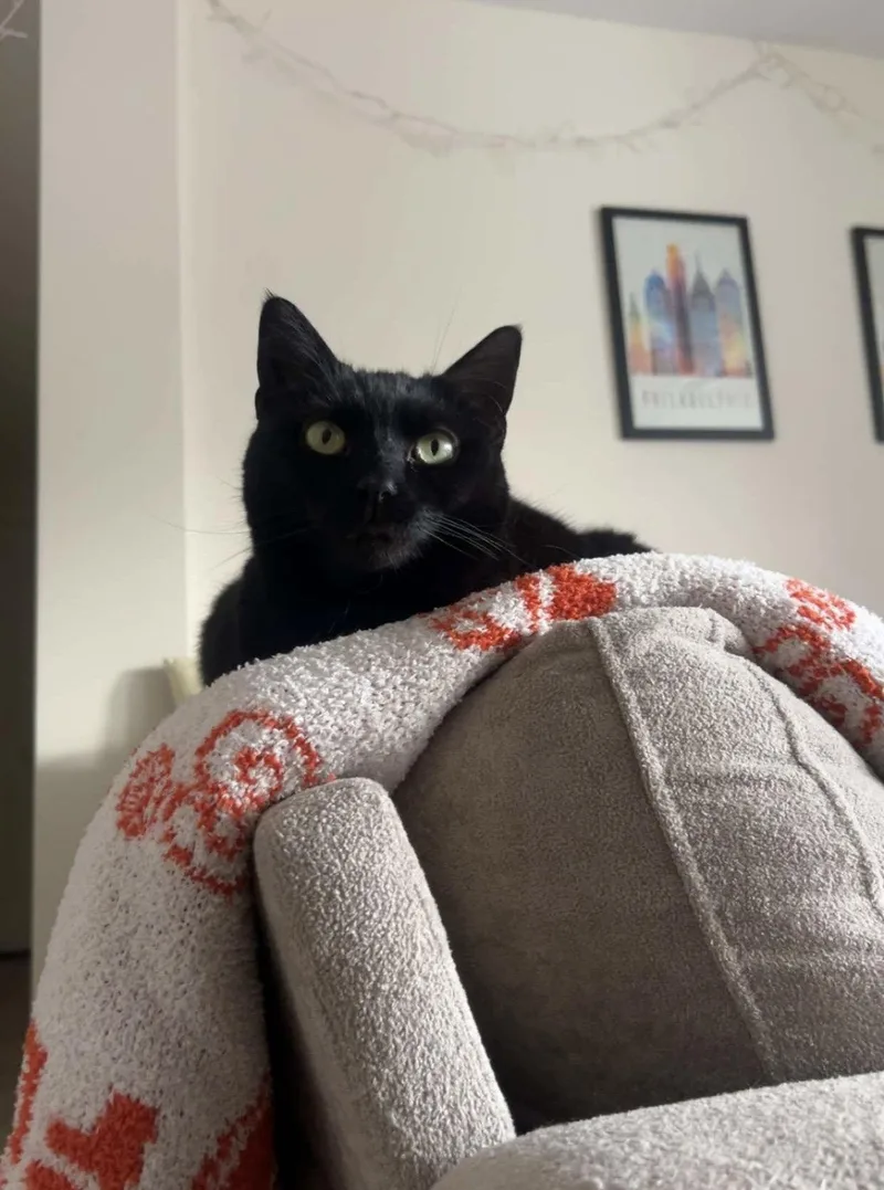 Winnie  Willow Grove thumbnail 3