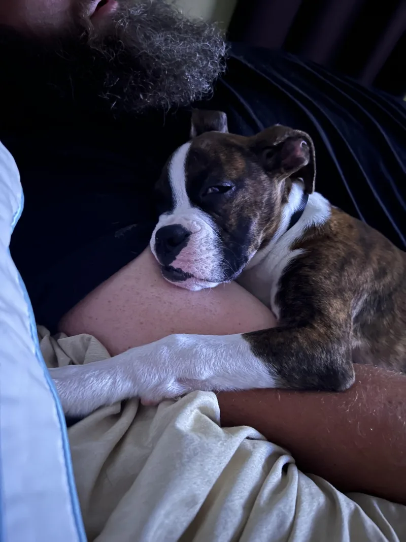Chloe thumbnail 3