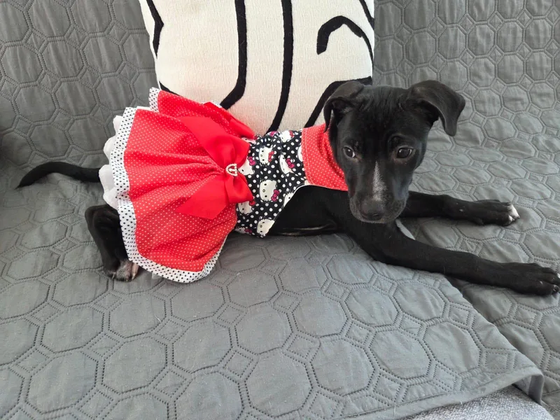 Angelina thumbnail 2