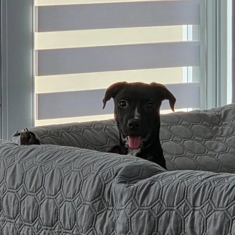 Angelina thumbnail 3