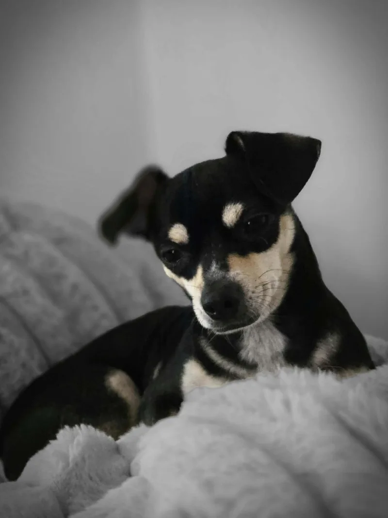 Gabby thumbnail 2