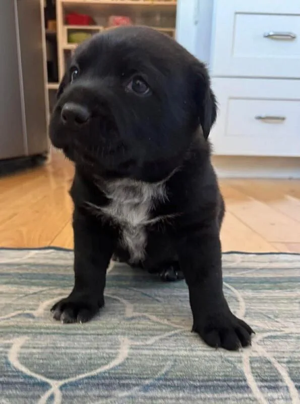 Walter Jr thumbnail 2