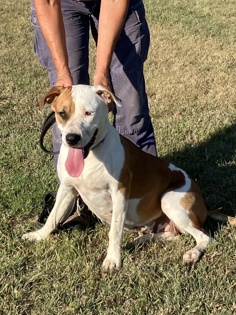 Flofull Of Love thumbnail 2