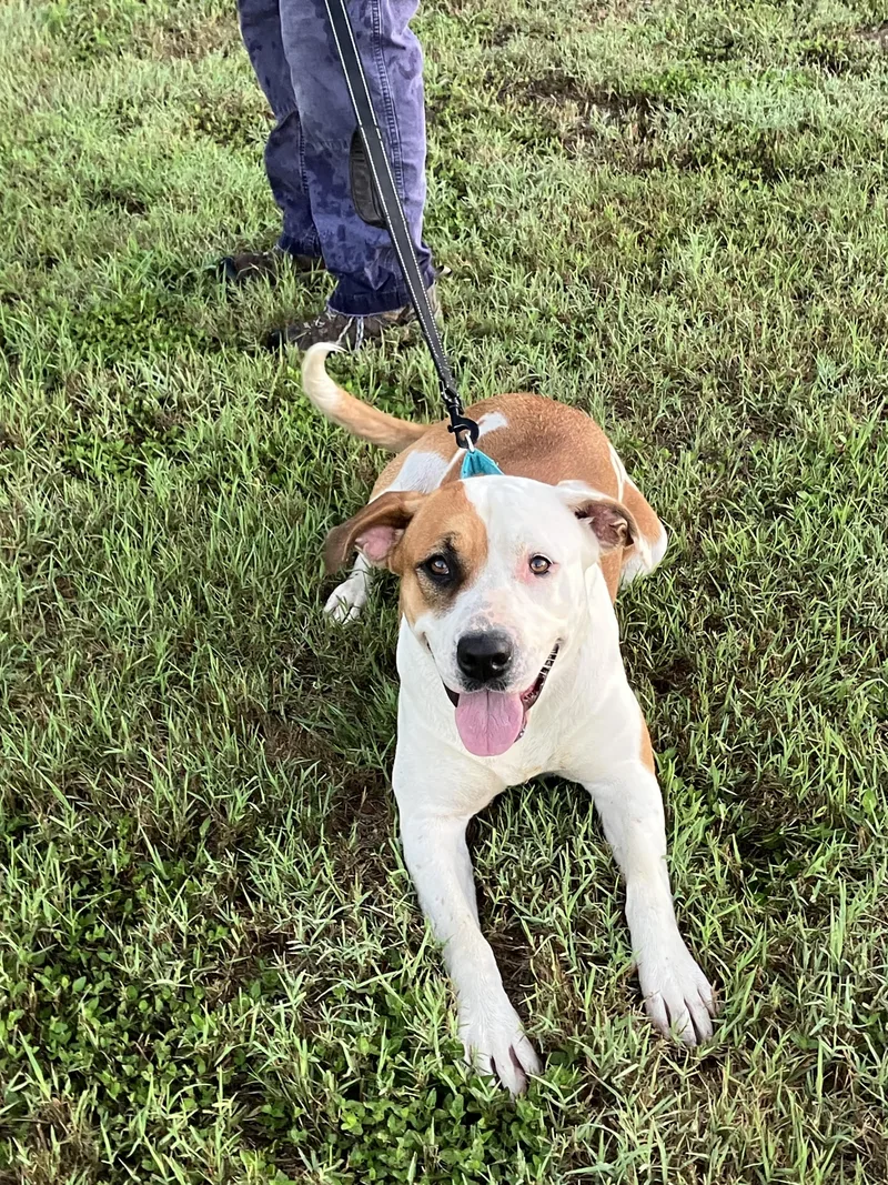 Flofull Of Love thumbnail 3