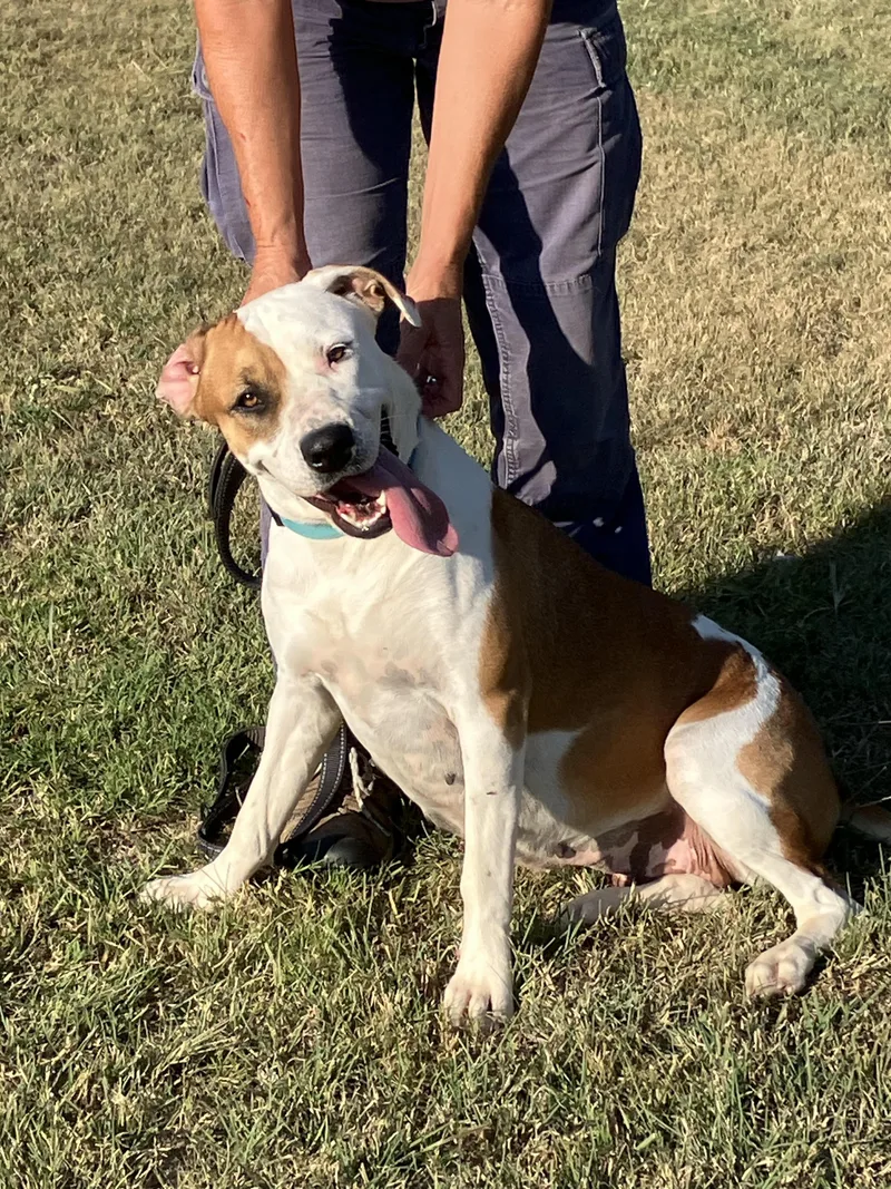 Flofull Of Love thumbnail 4