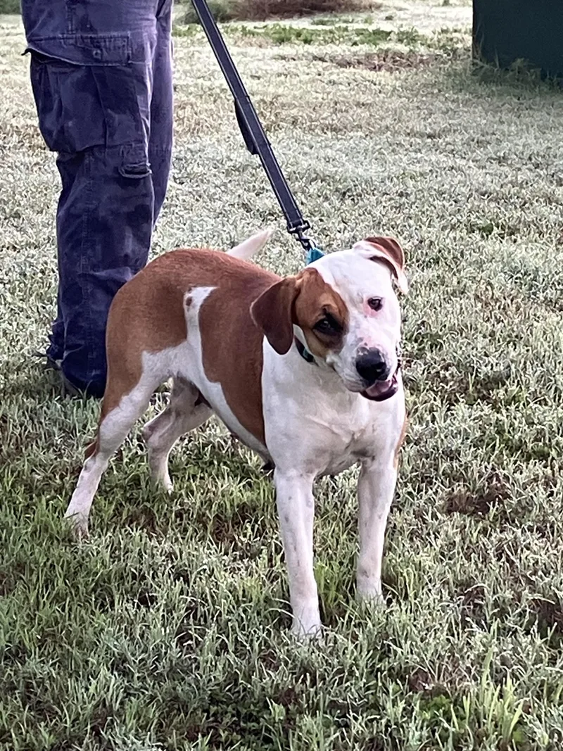 Flofull Of Love thumbnail 5