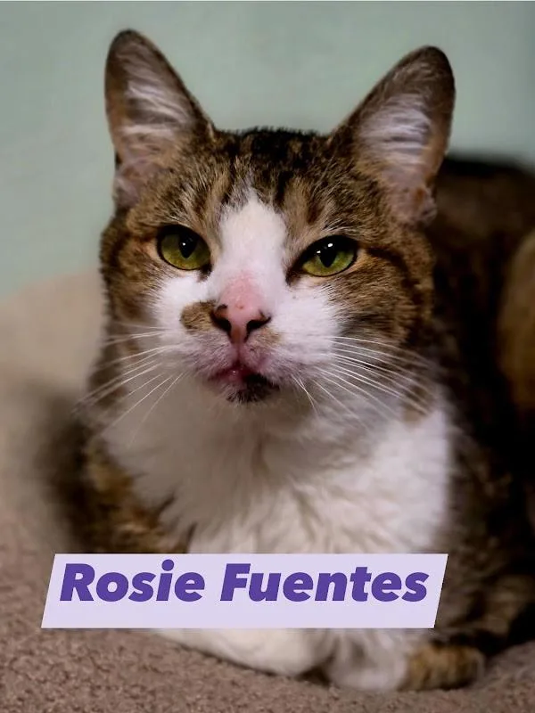 Rosie Fuentes thumbnail 3
