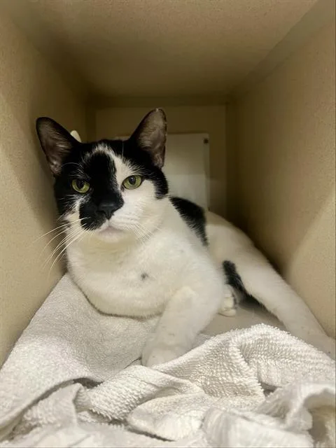 Singleton thumbnail 2