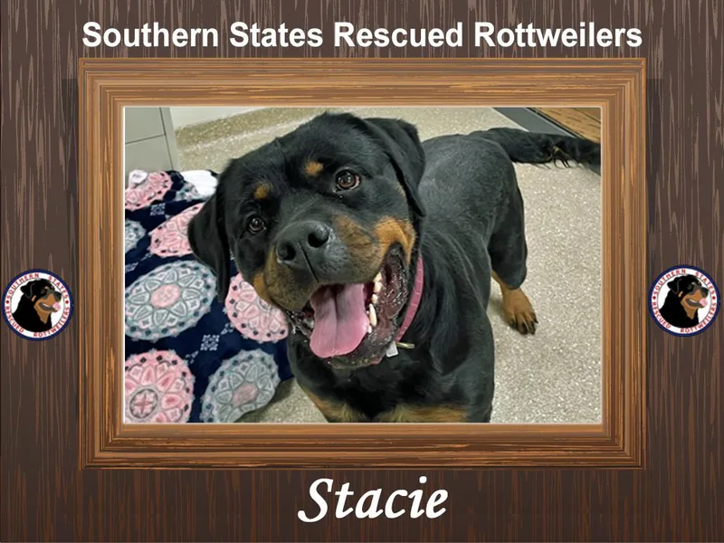 Stacie thumbnail 6