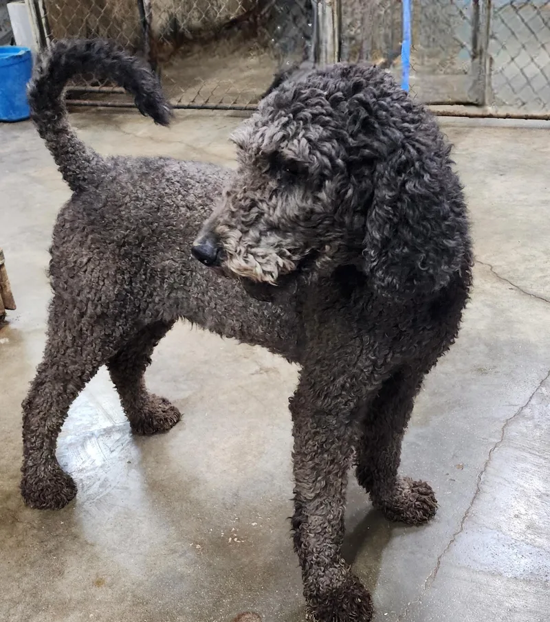 Charlotte thumbnail 6