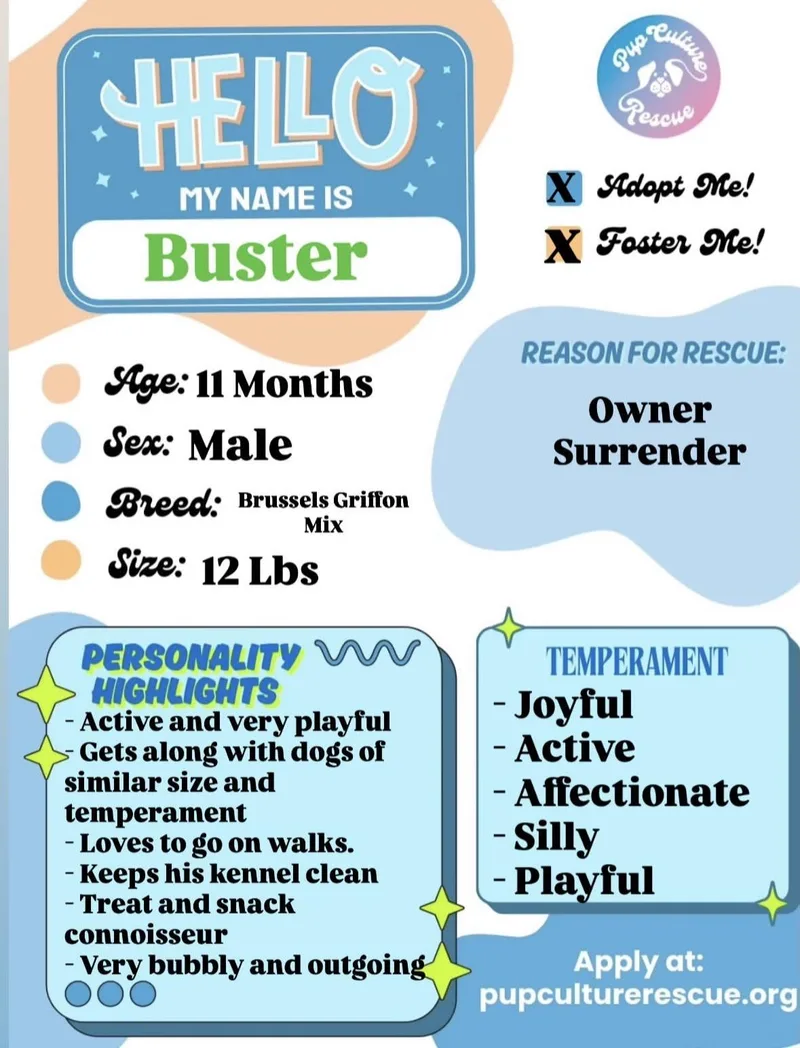 Buster thumbnail 3