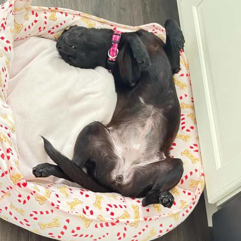 Berklie thumbnail 2