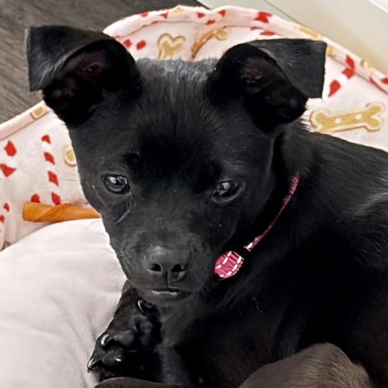 Berklie thumbnail 6