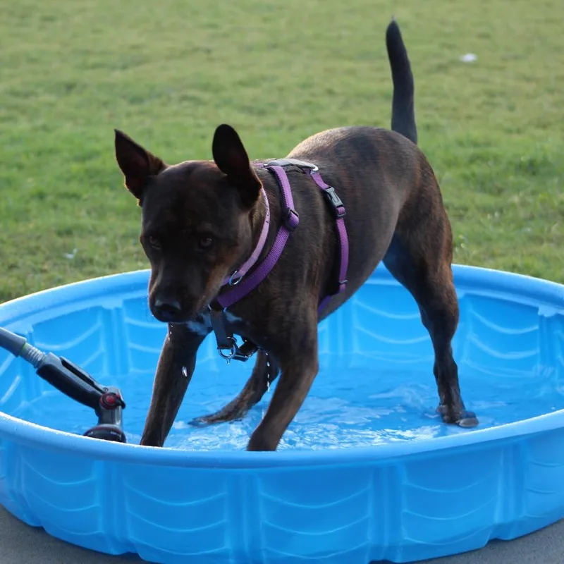 Lola thumbnail 3