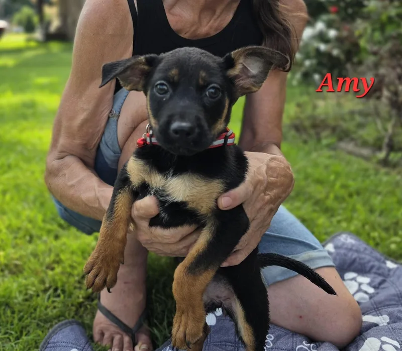 Amy Waddle thumbnail 4