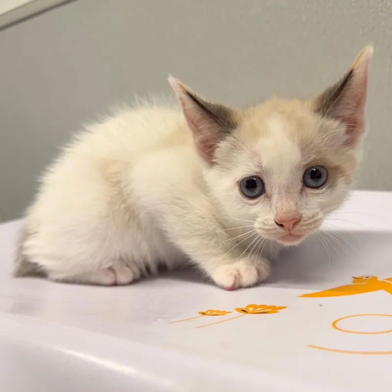 Winnie