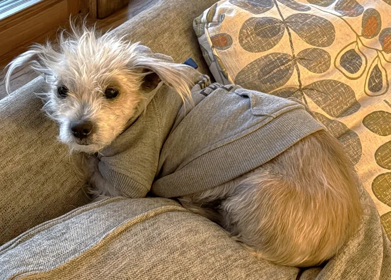 Tinkerbell thumbnail 2