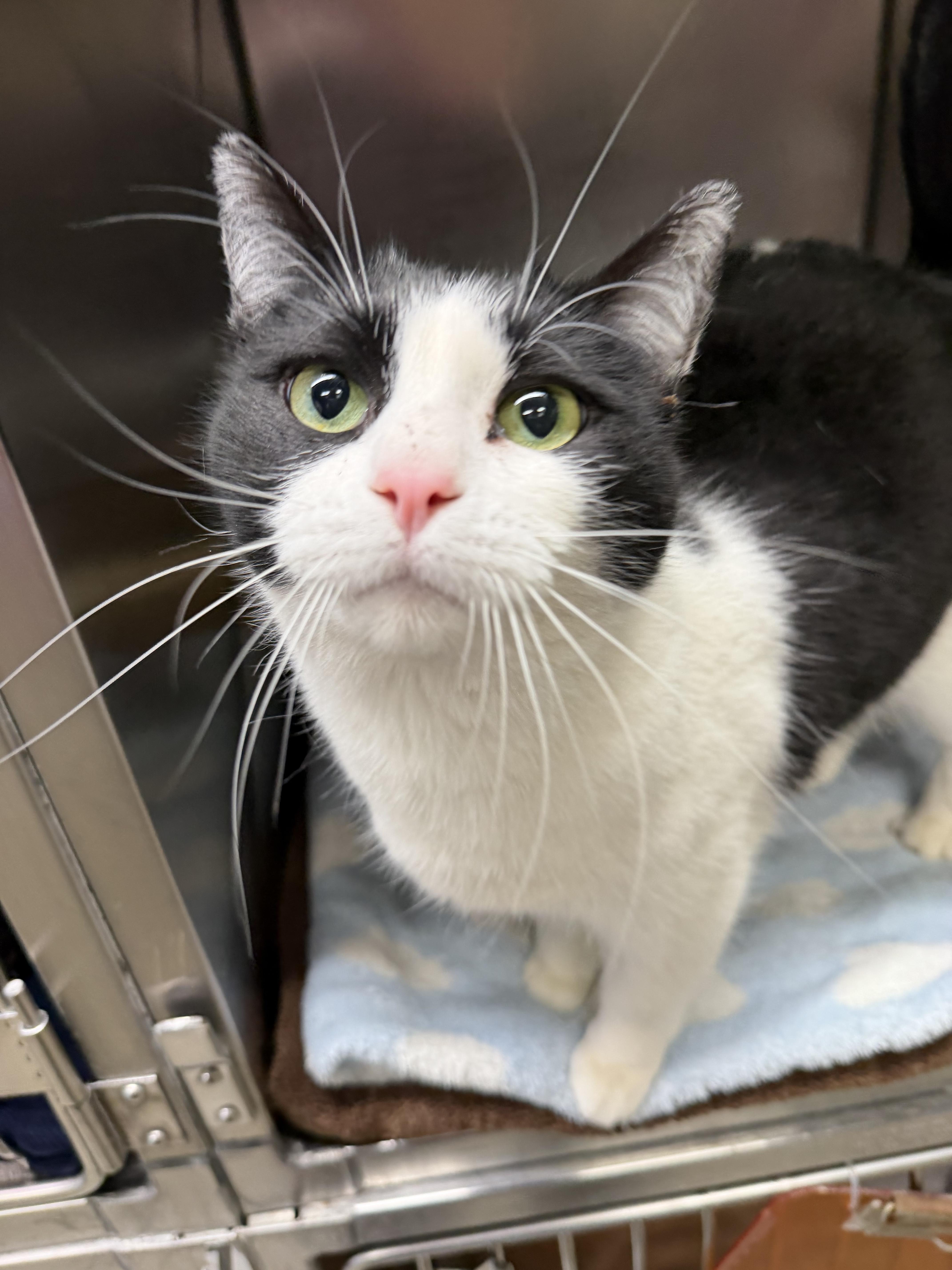 Terrazzo thumbnail 2