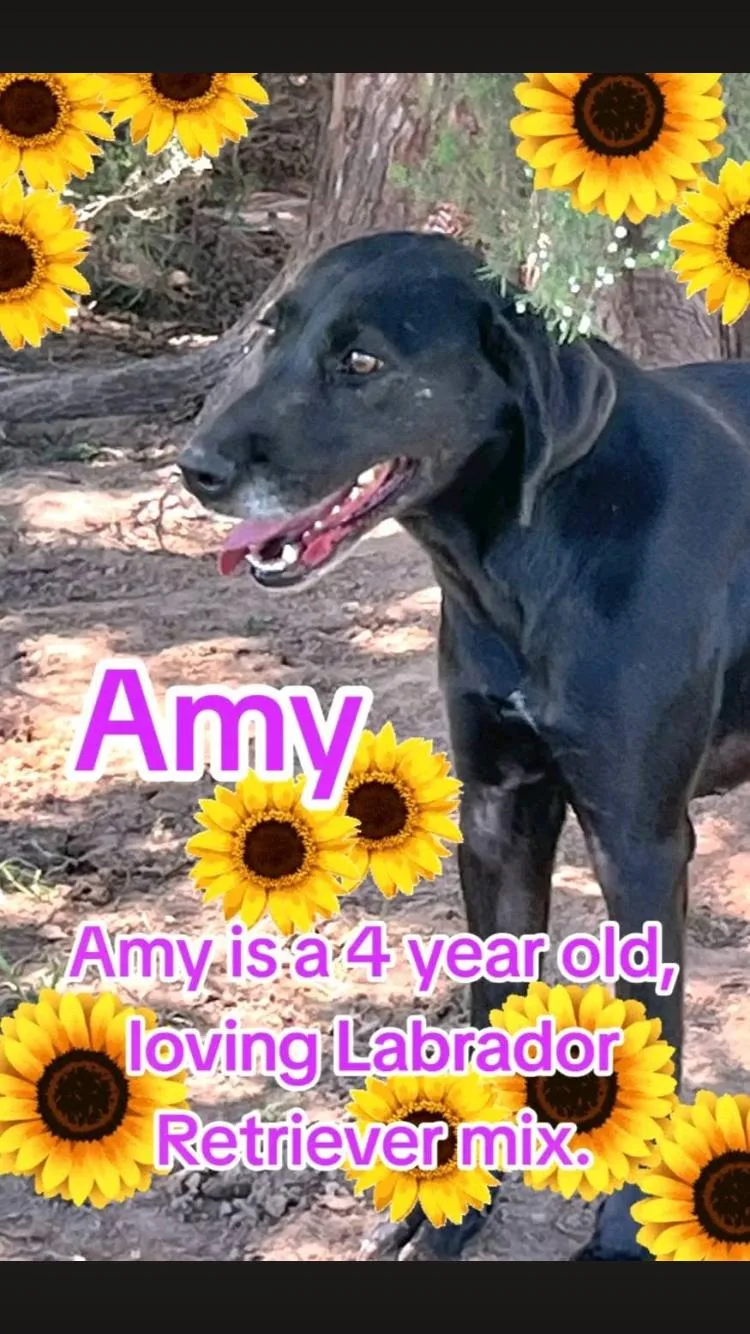 Amy thumbnail 2