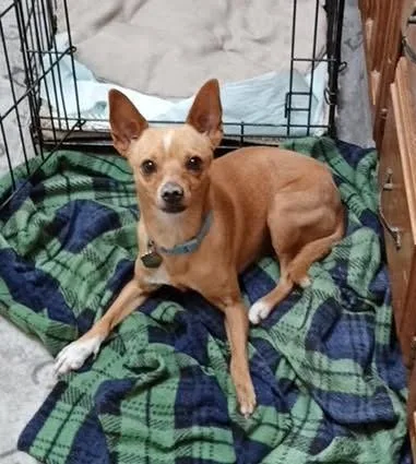 Chico
