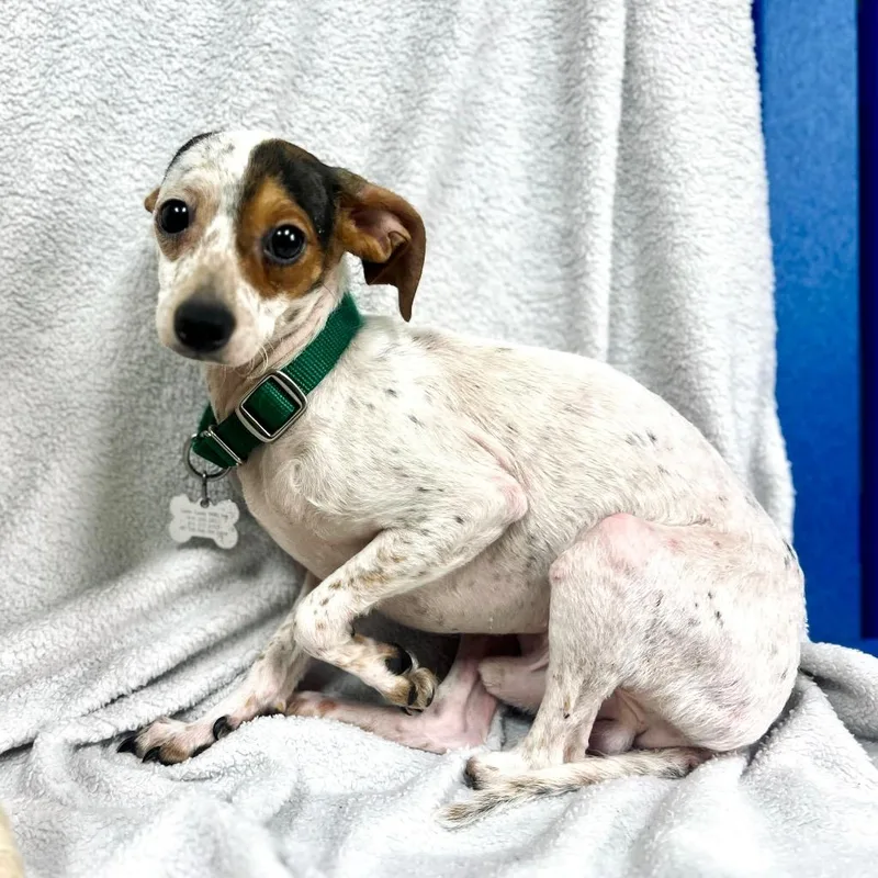 Baby Toes thumbnail 2