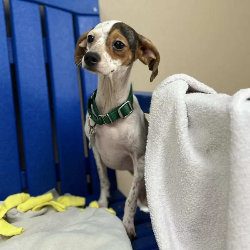 Baby Toes thumbnail 4