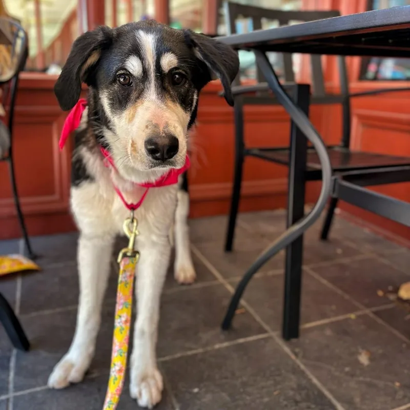 Wonderful thumbnail 2