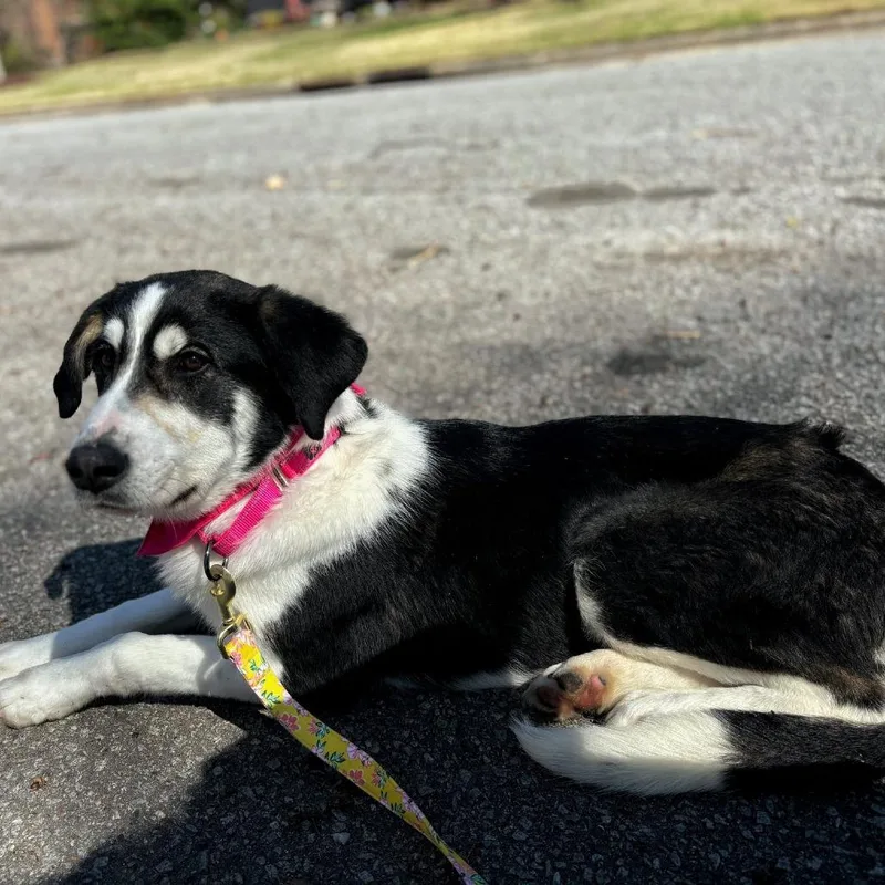 Wonderful thumbnail 3