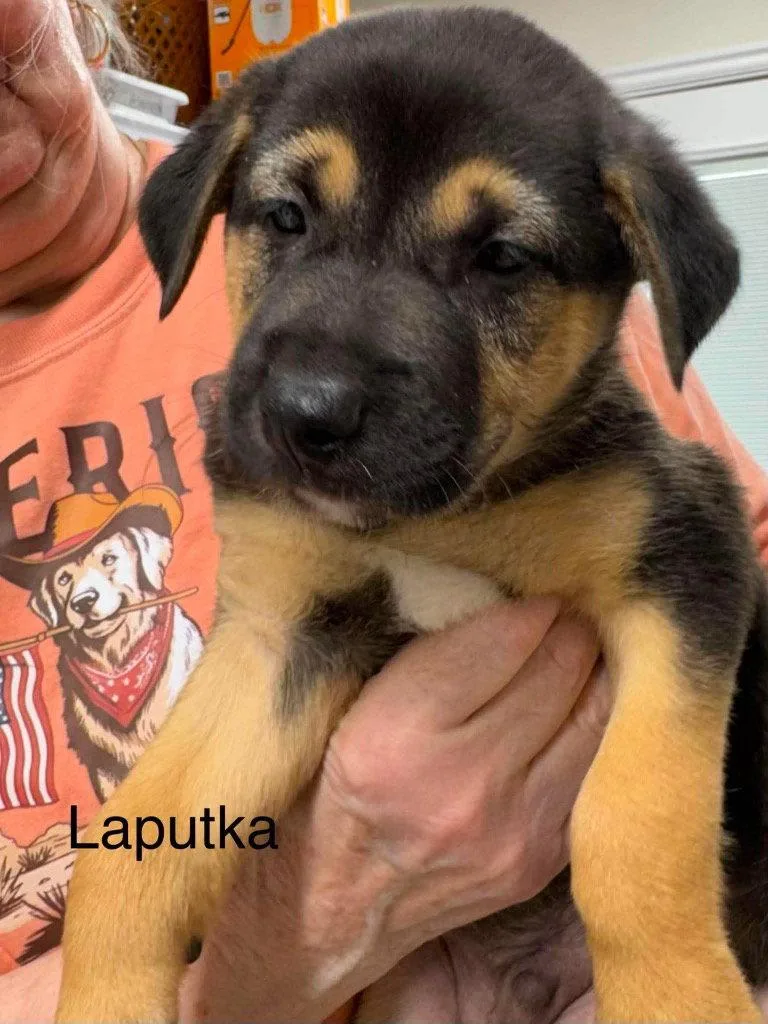LaPutka