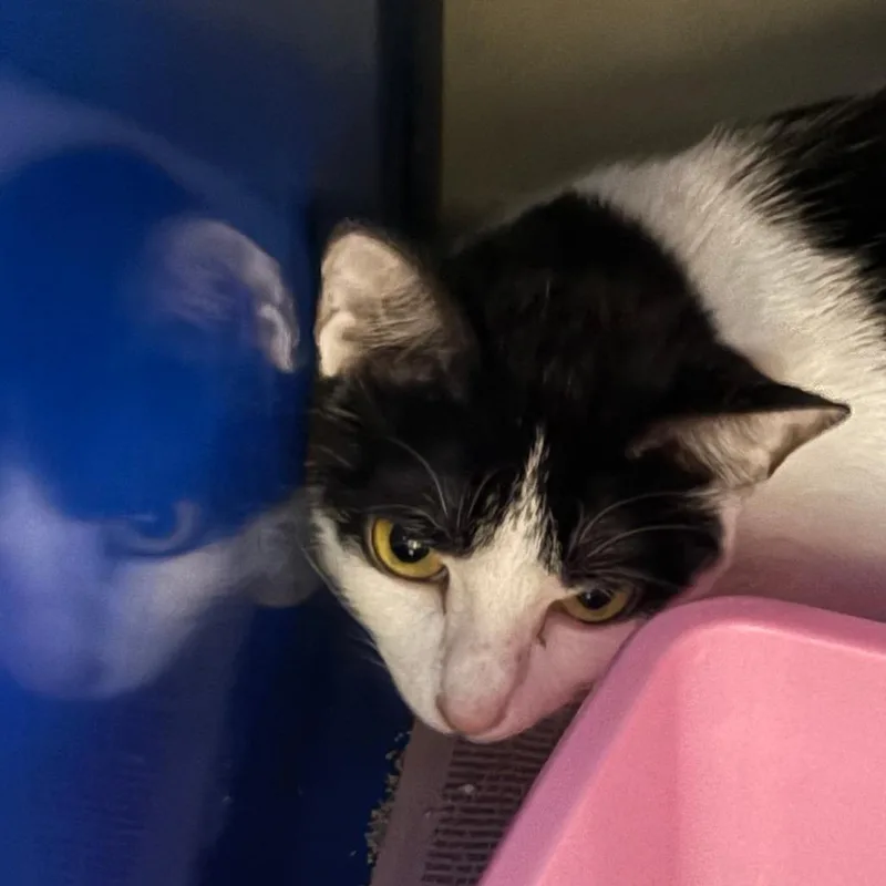 Miley  U thumbnail 2