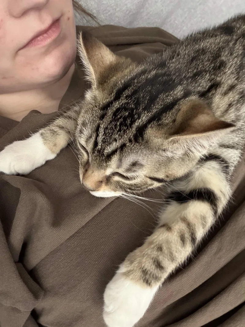 Sally thumbnail 5