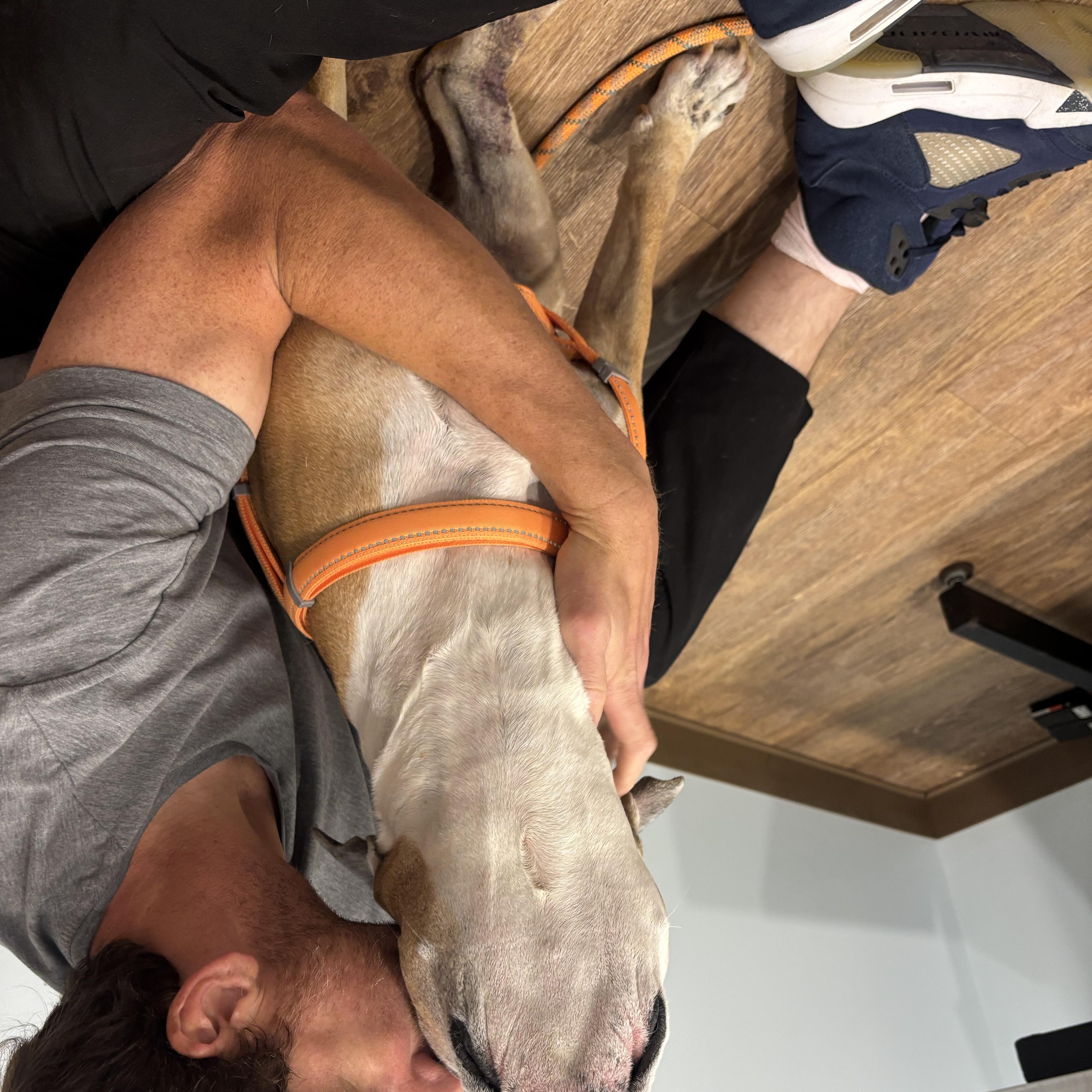 Buster thumbnail 4