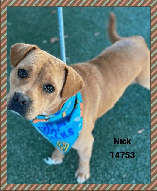 Nick thumbnail 2